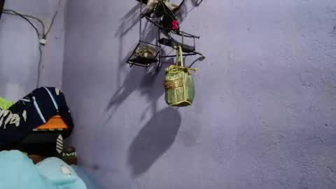 roxanne_98 online show from May 24, 1:04 am