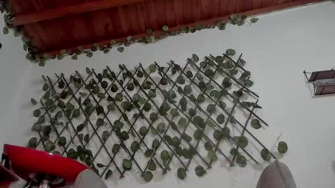 sa_anvi online show from February 13, 7:37 pm