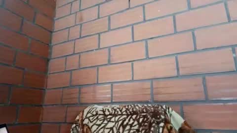 Samantha ferrer online show from November 4, 4:45 pm