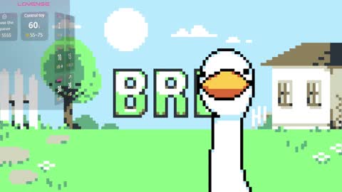 Sara online show from December 30, 2:08 pm