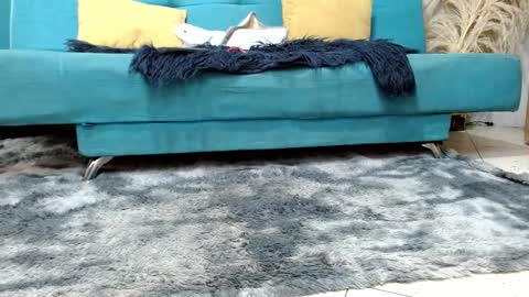 sarita_klein online show from March 2, 2:35 pm