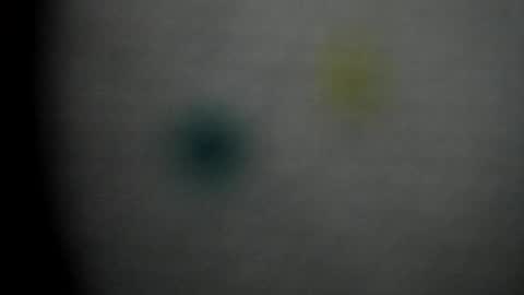 Snapshot of sayo_mao18 chatting on October 18, 3:20 am kitty online show from October 18, 3:20 am