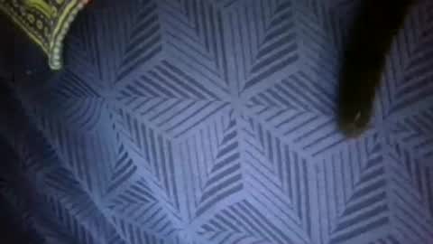 Sunny online show from April 18, 7:58 pm