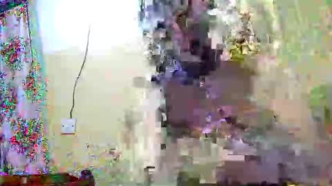 sexxy_gal online show from March 6, 6:03 pm