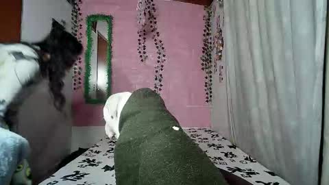 sexy lolas online show from February 2, 3:49 am