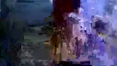 sexybriiiixoxox online show from April 29, 3:21 am