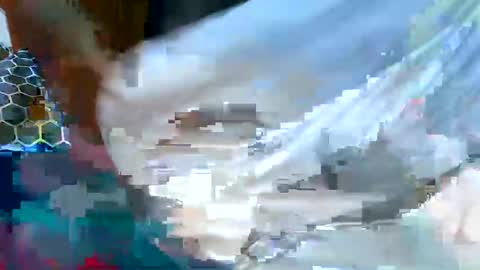 Snapshot of sexyghurl12 chatting on March 9, 3:22 am sexyghurl12 online show from March 9, 3:22 am