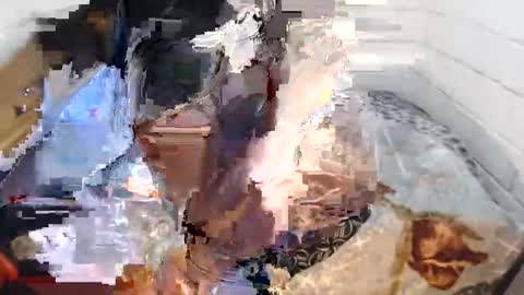 sexyjustin202 online show from September 17, 11:03 pm