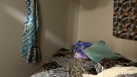 Snapshot of shamanwoman chatting on December 2, 8:48 am Shaman Woman online show from December 2, 8:48 am
