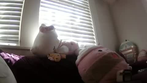 shampooprincess001 online show from March 21, 8:14 pm