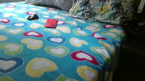 sharlot03 online show from December 21, 1:32 pm