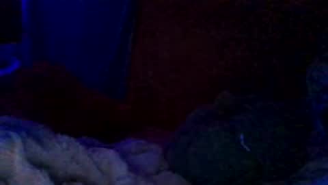 Siofra online show from November 17, 6:14 am