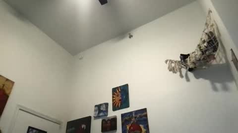 Snapshot of skybabytv chatting on October 28, 10:25 pm skybabytv online show from October 28, 10:25 pm