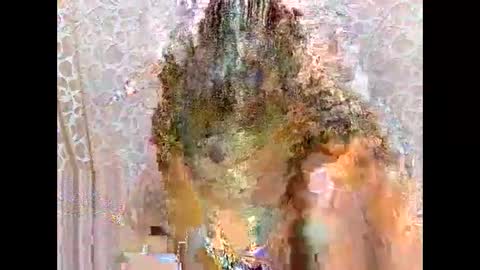 slim_girl01 online show from February 2, 7:13 pm