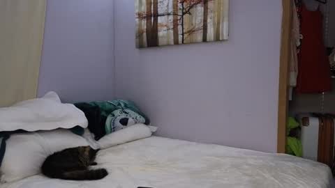 Your Fave Domme online show from February 22, 1:33 am