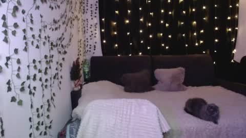 Snapshot of sofia_rosemary chatting on February 3, 12:47 pm sofia_rosemary online show from February 3, 12:47 pm