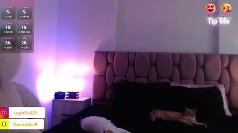 Sophia Carson online show from December 21, 6:33 pm