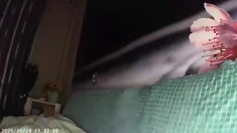 Sophie and my bestie Mandy    online show from October 23, 7:20 pm