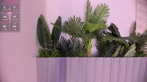 Stephany  online show from April 14, 4:40 pm