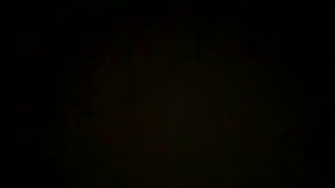 Summer online show from November 14, 5:57 pm