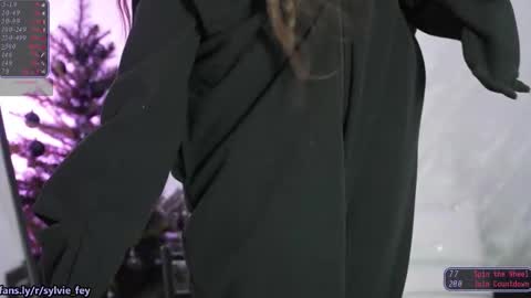 Sylvie online show from November 30, 4:38 am