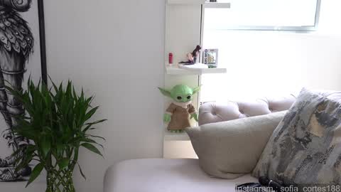 Snapshot of tatiana__cortes18 chatting on January 30, 6:32 pm Sofia But You can call me Sofi online show from January 30, 6:32 pm