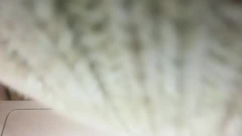 Tatianna Marie online show from January 24, 10:30 pm