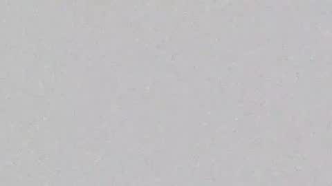 tatis_honey online show from December 11, 3:37 pm