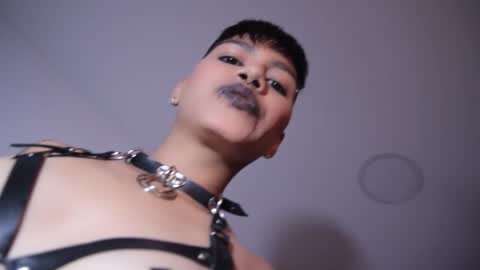 Taylor online show from October 7, 7:07 pm