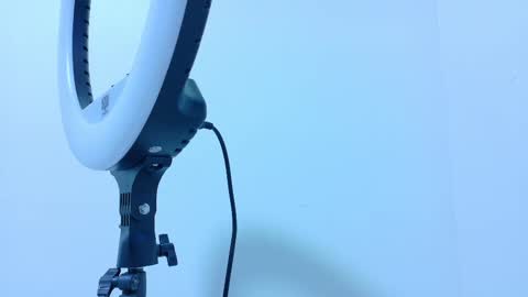 TAYLOR  online show from November 13, 11:53 am