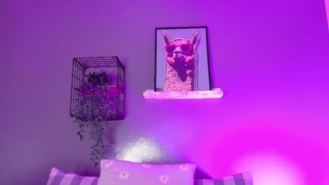 TAYLOR  online show from December 5, 11:55 am