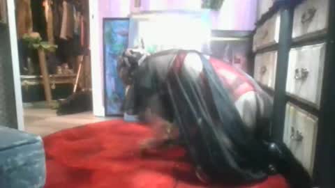 Snapshot of thecannibalsalt chatting on October 27, 2:07 am TheCannibalSalt online show from October 27, 2:07 am