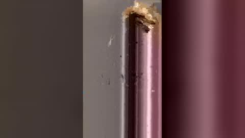 thenagainwhynot online show from April 20, 3:09 am