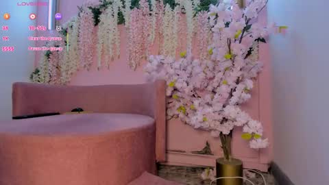 Lexxy online show from January 17, 12:34 pm