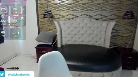 toky         online show from January 28, 7:21 pm