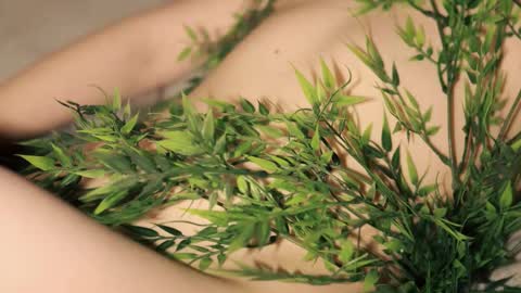 Toshi online show from January 12, 1:05 pm