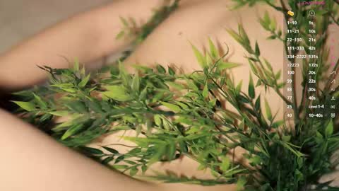 Toshi online show from March 30, 1:00 pm