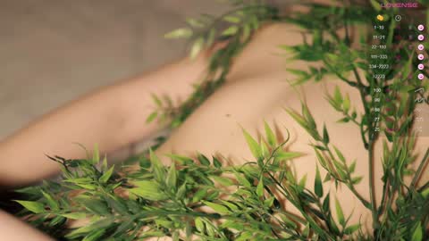 Toshi online show from January 19, 1:01 pm