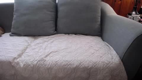 Tyler Sands online show from October 19, 1:46 pm