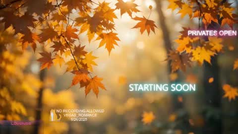 Snapshot of vegas_romance chatting on September 26, 11:56 pm vegas_romance online show from September 26, 11:56 pm