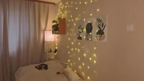 Veronica online show from November 11, 11:18 am