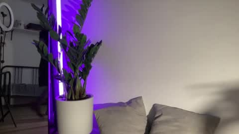 Alice  Before pvt write to me in PM  online show from February 28, 8:18 pm