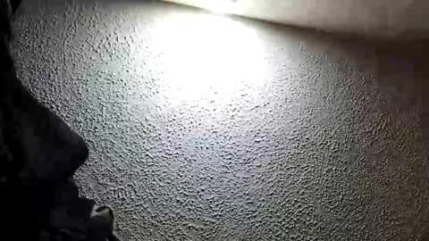 Waningrose  Lu online show from February 24, 12:49 am