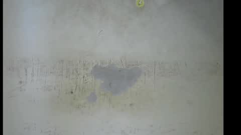 Bella online show from November 26, 10:05 am