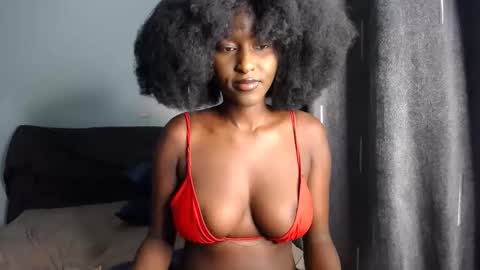 Macey online show from November 11, 6:53 am