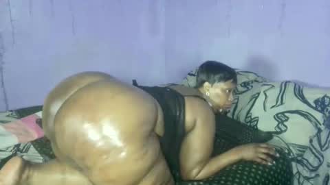 wilmaassylum online show from September 15, 6:32 am