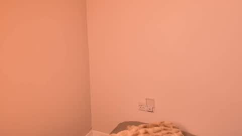 Hijabi Star online show from March 23, 11:54 pm