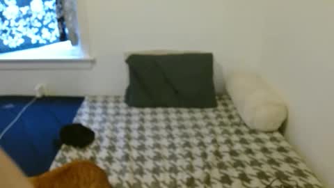 Becca online show from February 13, 1:57 pm