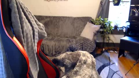 xqueenkendrax online show from June 15, 11:05 pm