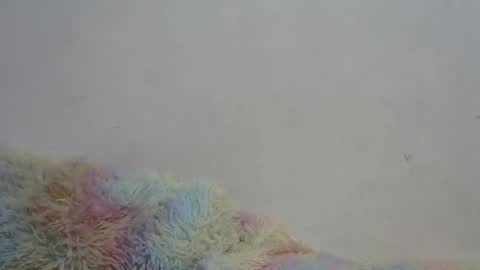 PIE online show from January 19, 1:53 am